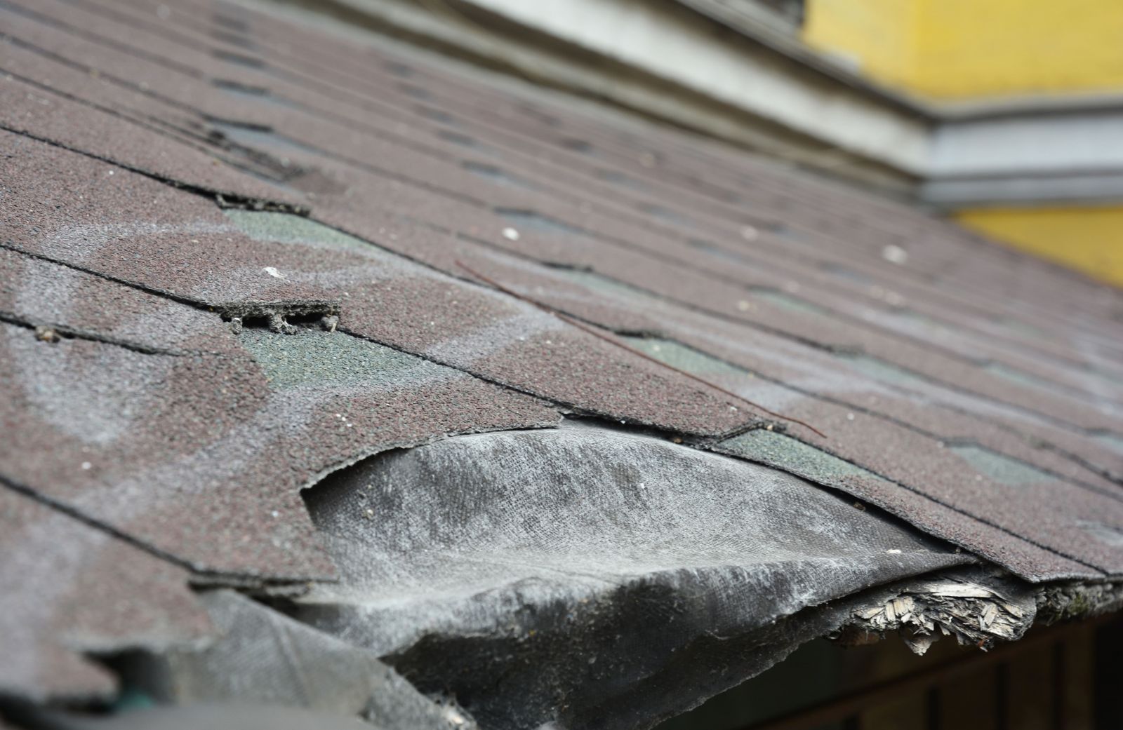 Make It Happen Roofing Images